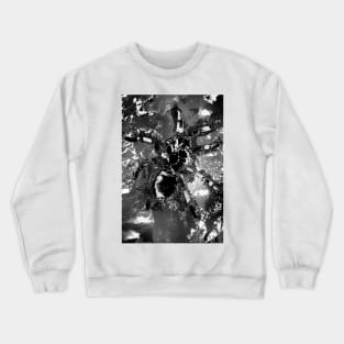 Tarantula Molting 1 Crewneck Sweatshirt